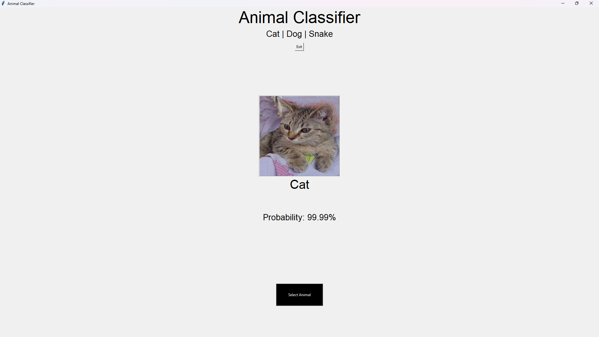 Animal Classifier (ResNet50) result 2