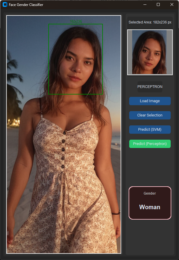 Face Gender Classifier (Perceptron vs. SVM) result 2
