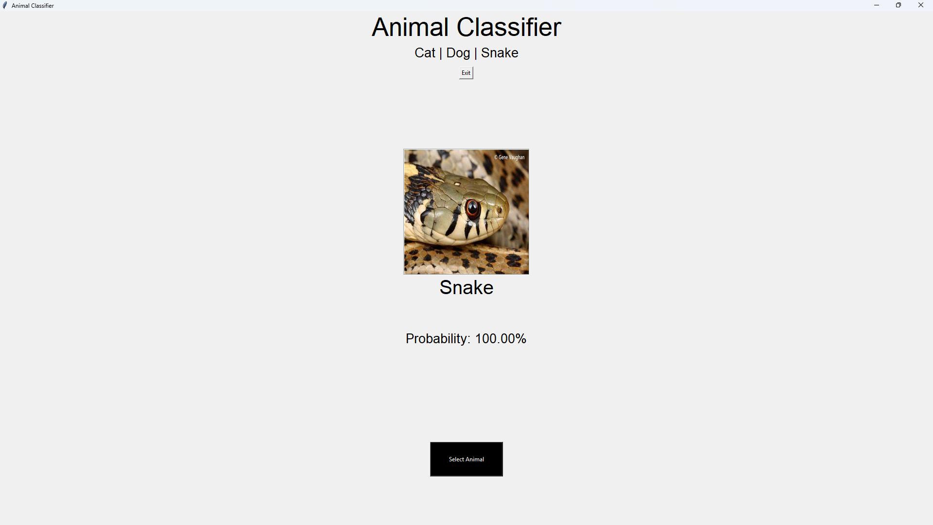 Animal Classifier (ResNet50) result 3