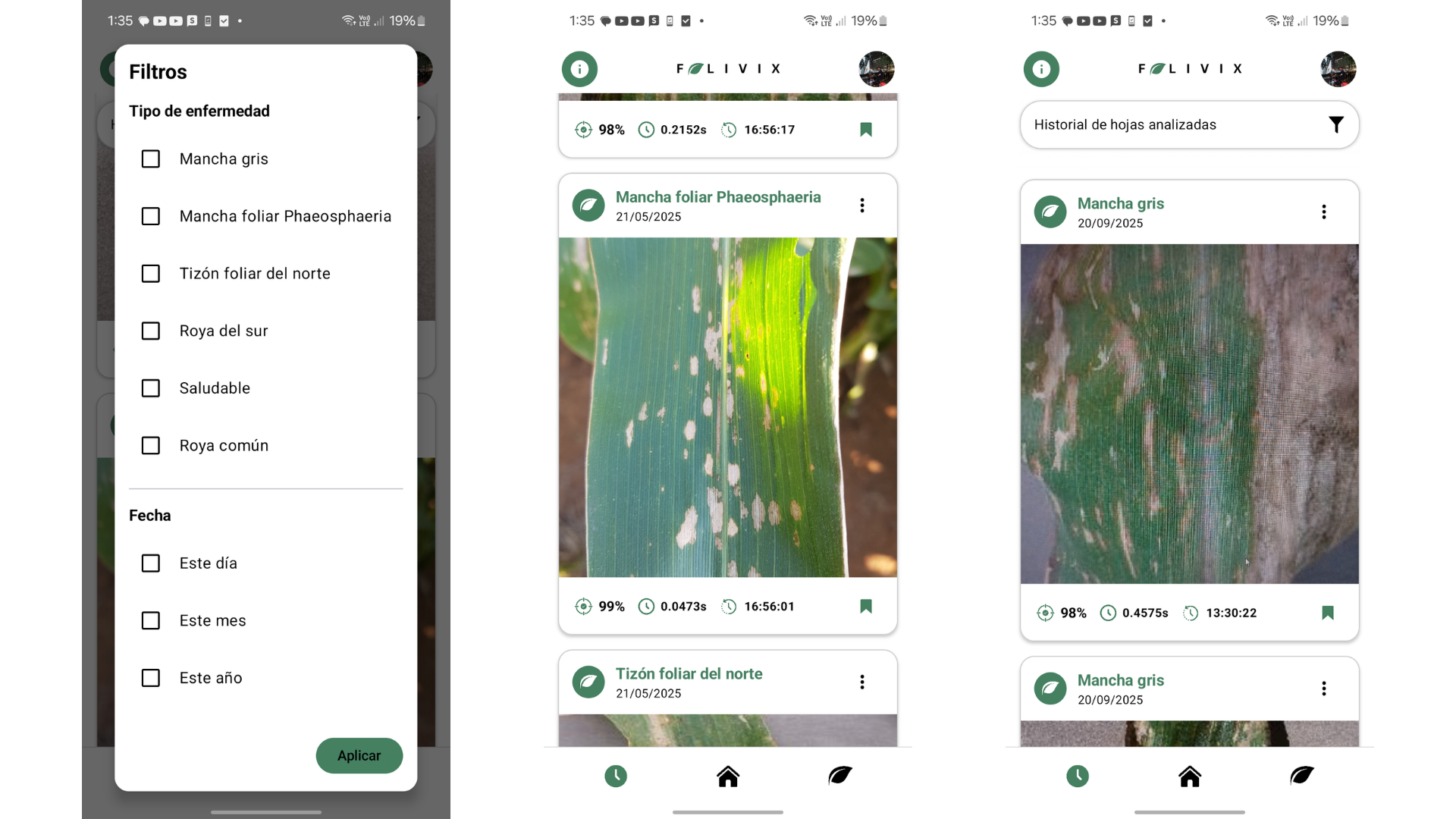 FOLIVIX: Maize Leaf Disease Classifier result 3