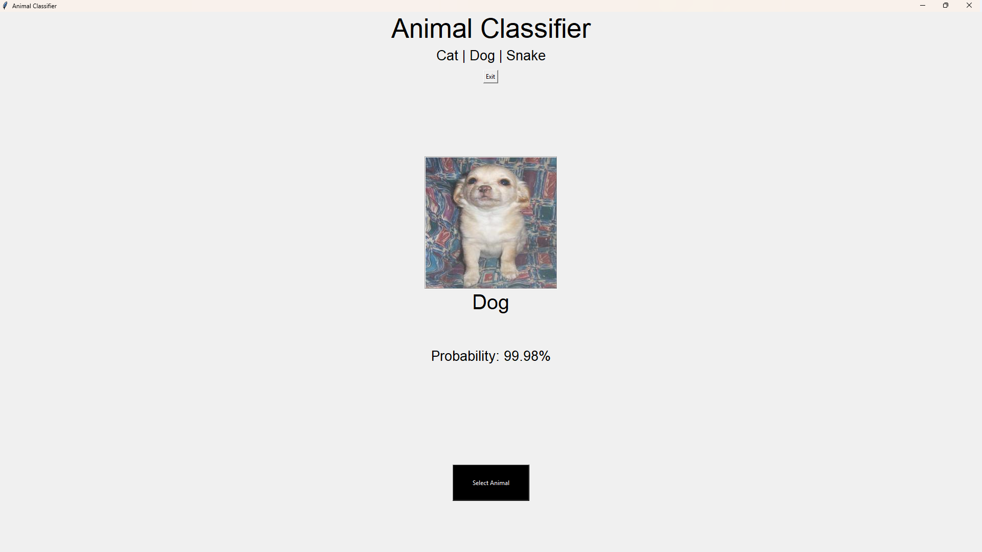 Animal Classifier (ResNet50) result 4
