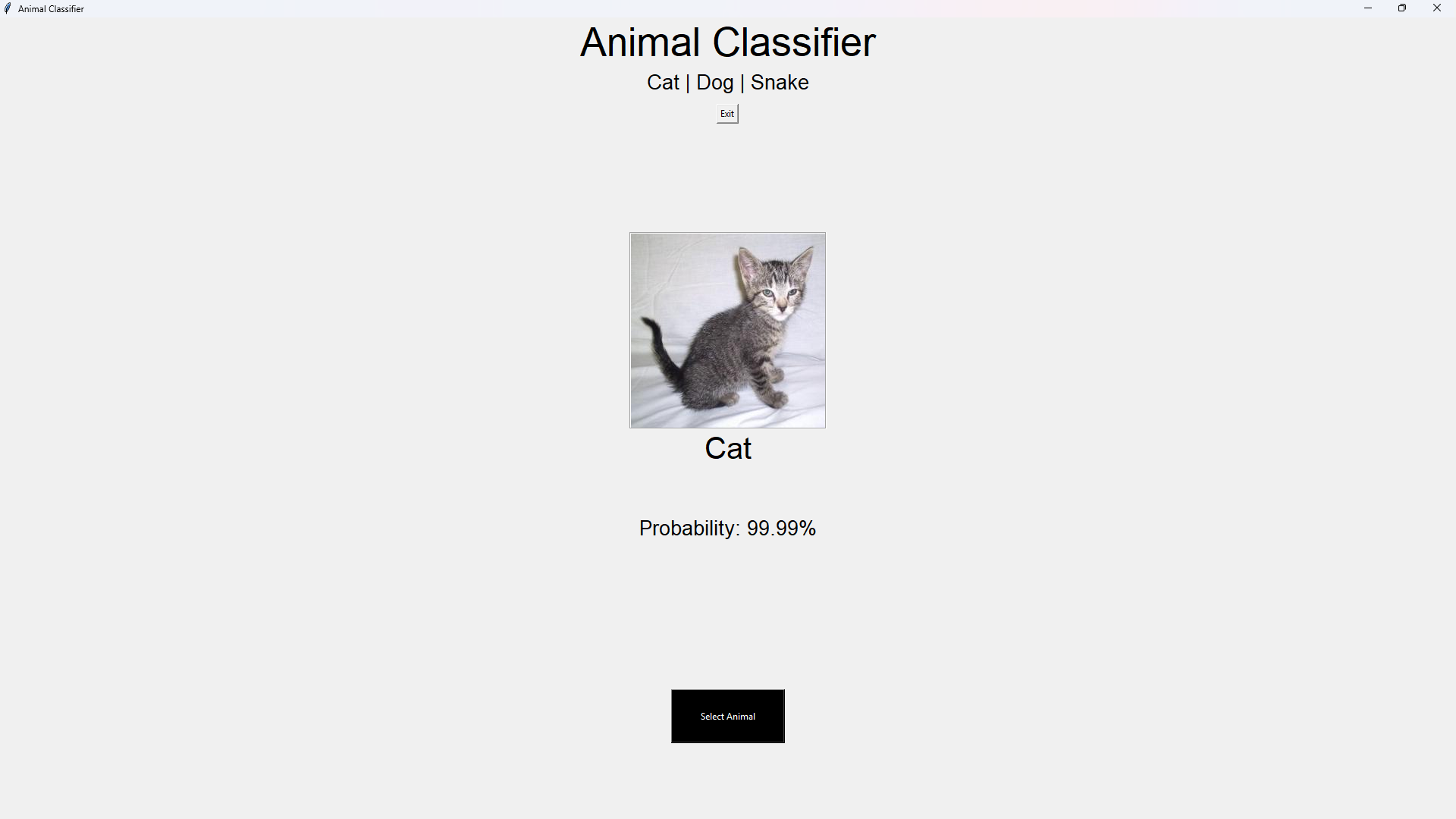 Animal Classifier (ResNet50) result 5