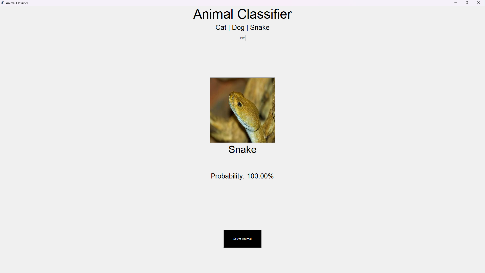 Animal Classifier (ResNet50) result 6