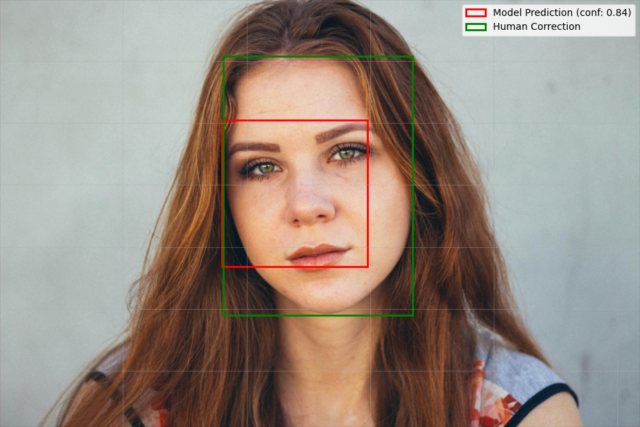 Face Detection with RLHF result 6