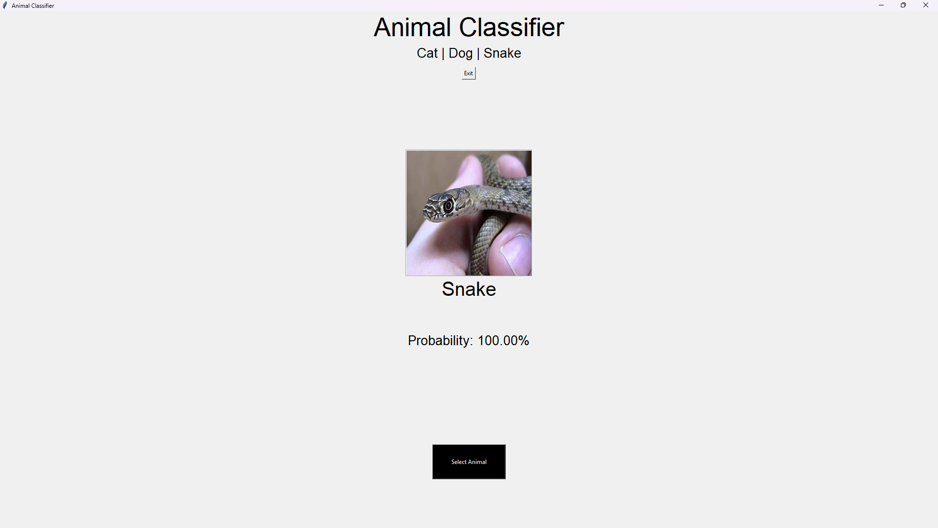 Animal Classifier (ResNet50) result 9