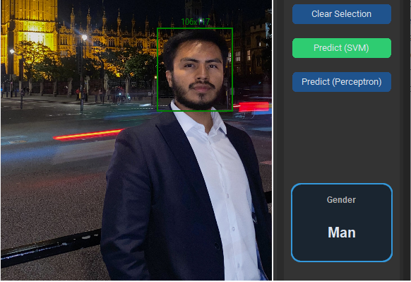 Gender Face Classifier preview