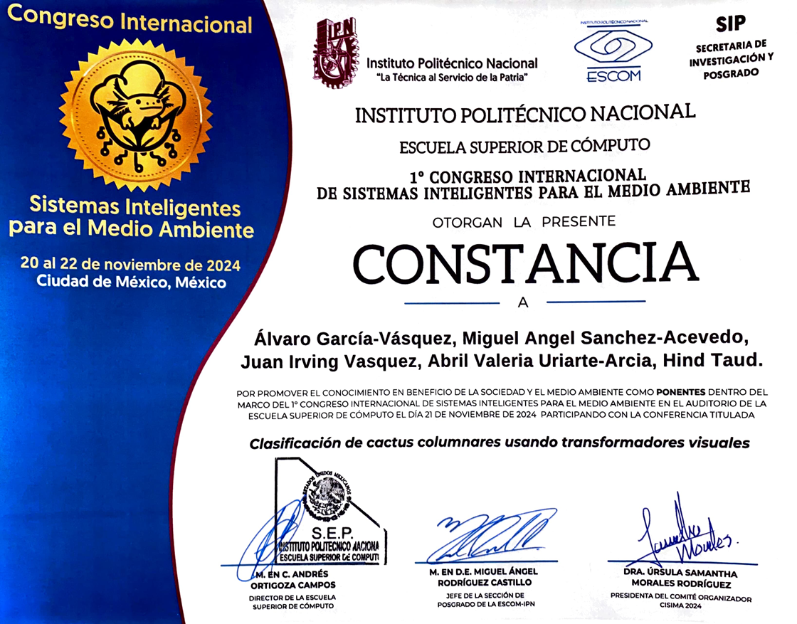 Activity Certificate Preview