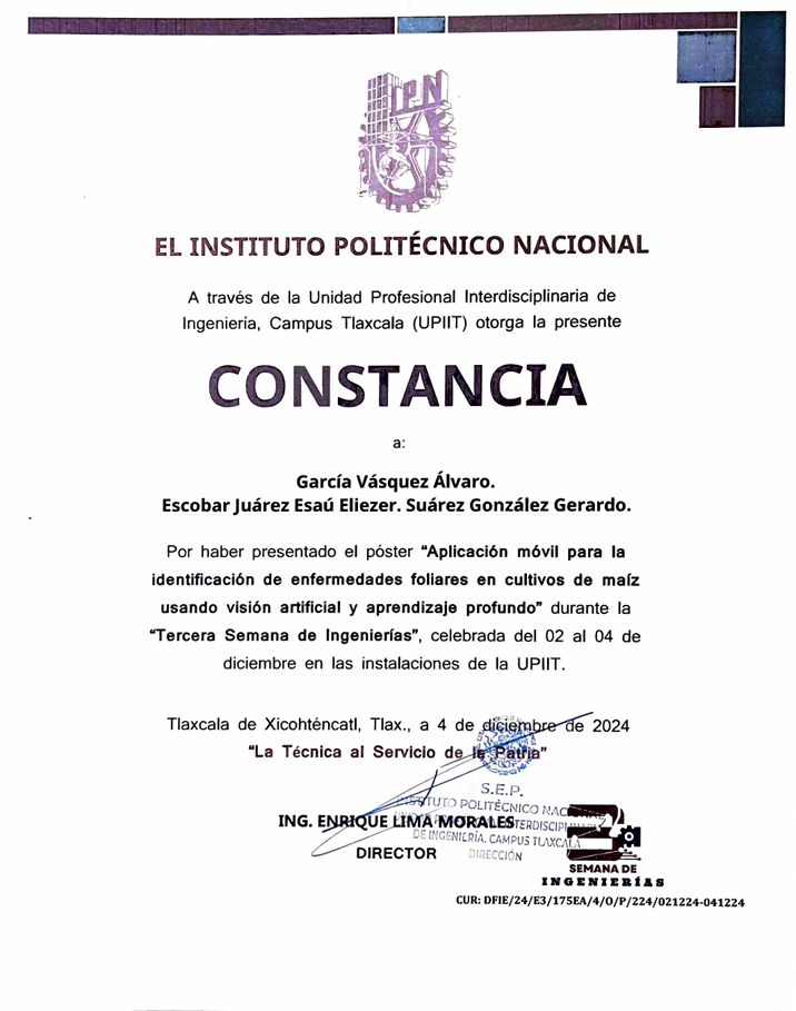 Activity Certificate Preview